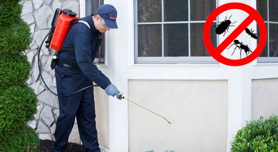 Mersin Gümüşkurt İlaçlama böcek ilaçlama ve haşere kontrolü — ilaclama-tr.com